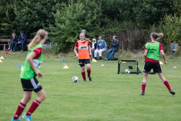 Bild 187 - Frauen SG NieBar - HSV 2 : Ergebnis: 4:3